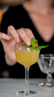 IG Indicana- Tasting Dinner Cocktails-3