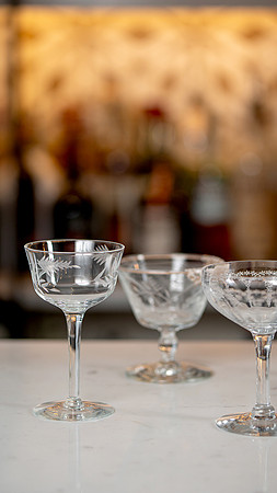 IG Indicana- PNW Tippler Glassware-2