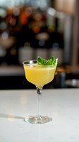 IG Indicana- Tasting Dinner Cocktails-22