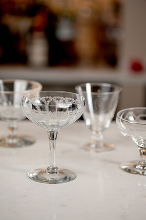 Indicana- PNW Tippler Glassware-3