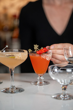 Indicana- Tasting Dinner Cocktails-10