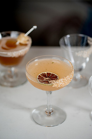 Indicana- Tasting Dinner Cocktails-7