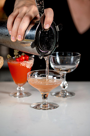 Indicana- Tasting Dinner Cocktails-12