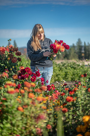Verdant Hare -3