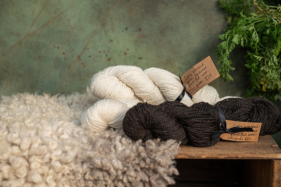 IG Verdant Hare -53