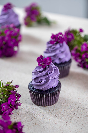 FULL SugarBarBakeshop -31